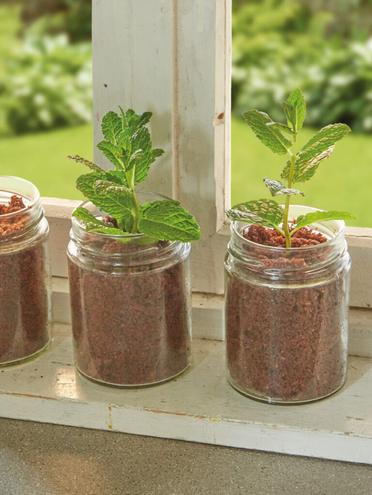 Choco moestuintjes